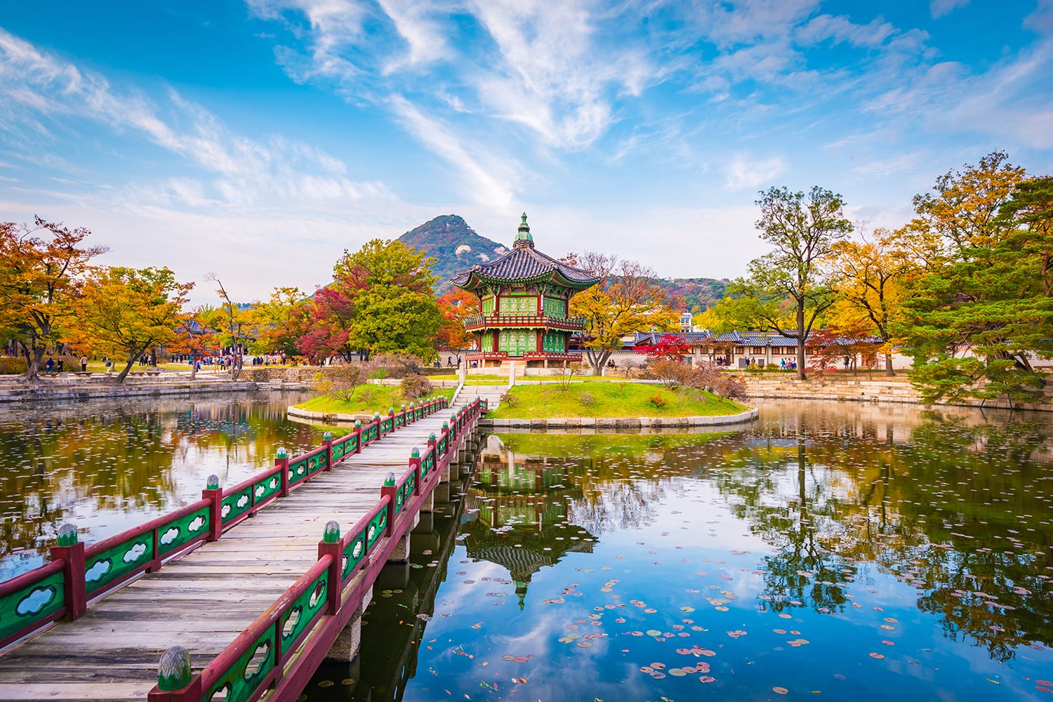 Trip to Korea: Information and Travel Tips